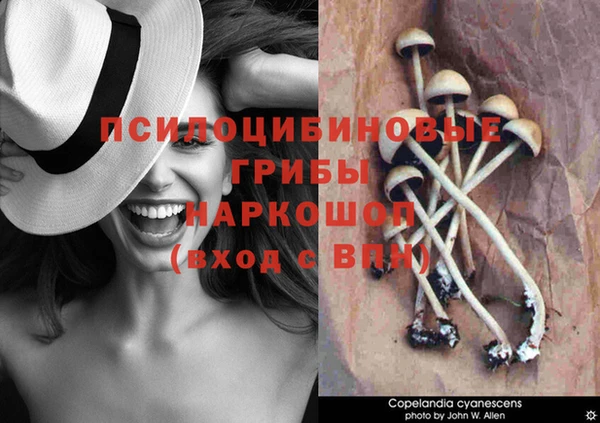 прущий лед Нефтекумск