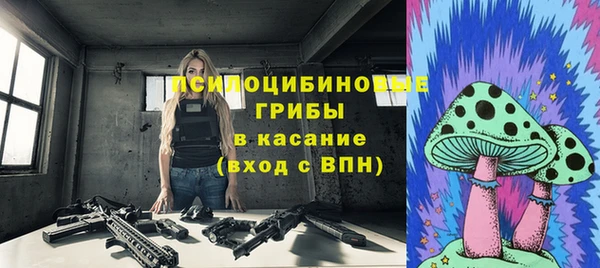 сатива Нефтегорск