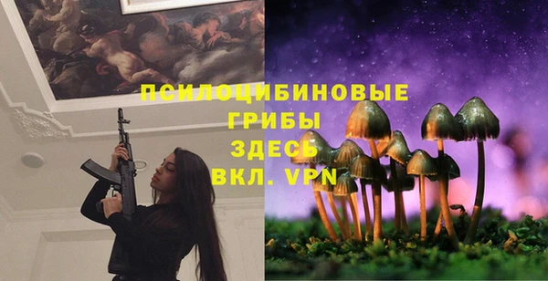 spice Нея