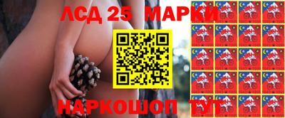 мяу мяу мука Бийск