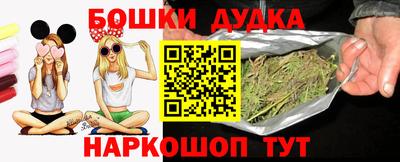 крисы Абакан