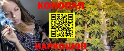 мяу мяу мука Бийск