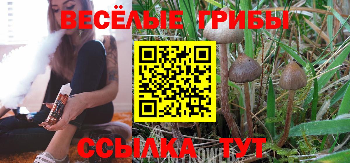 Галлюциногенные грибы Psilocybe Усть-Лабинск
