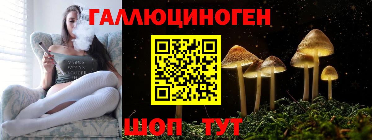 Усть-Лабинск  Псилоцибиновые грибы GOLDEN TEACHER  Вход с VPN 